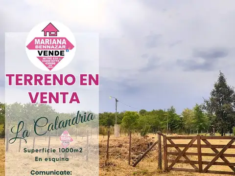 La Calandria