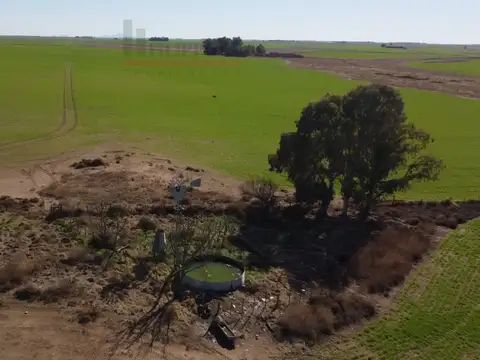 Camino San Román 100