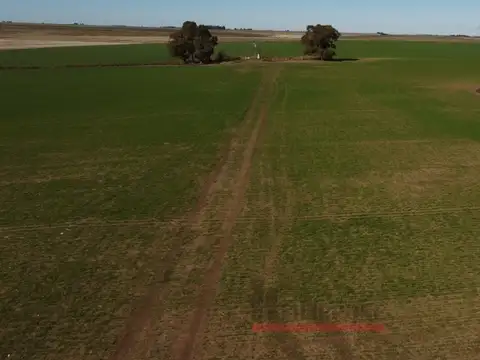 Camino San Román 100