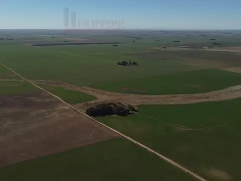 Camino San Román 100