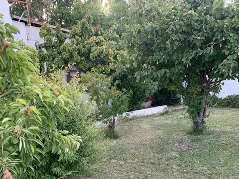 Mariano Rodriguez 300