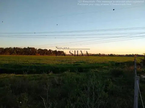 A 600m De Acceso Zabala