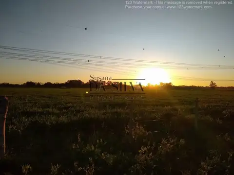 17 Ha. Acceso Zabala. Marcos Paz