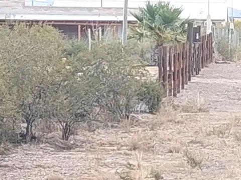 Terreno en Venta de 1000,0 m2