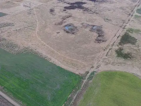 CAMPO MIXTO 131 HECTAREAS  SAN EDUARDO