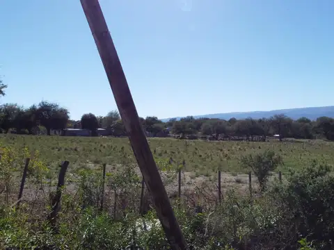 Pública