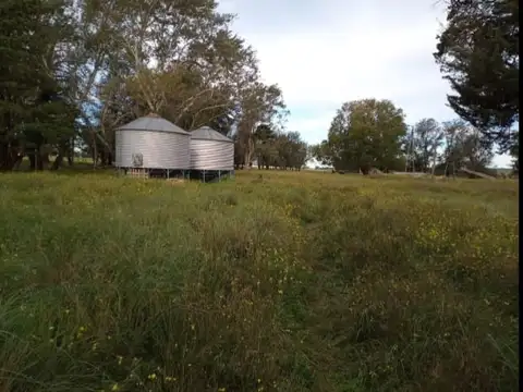 almacen ramos generales mas 12 hectareas   Peralta, Provincia de Buenos Aires, 100
