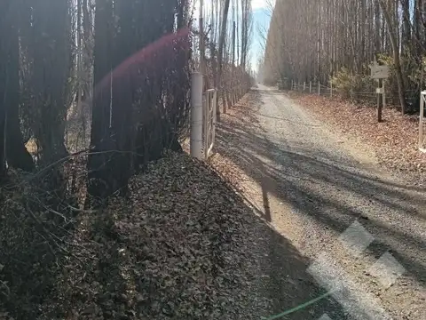 Venta Chacra 21 Hectáreas, frente de ruta provincial 7, San Patricio del Chañar, Neuquen