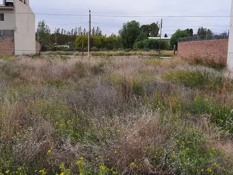Carlos Fuentealba al 500