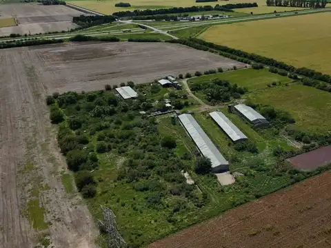 VENTA CRIADERO DE CERDO INTENSIVO. ACEPTA PERMUTA