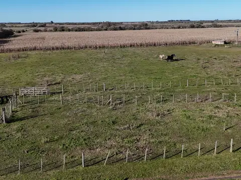 Campo en Venta de 20  ha