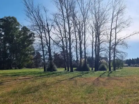 Terreno en Venta en Olivera, USD 130.000