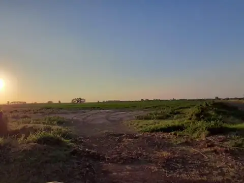 Nestor De Iriondo  3000