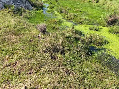 Chacra en alquiler de 100000m2 ubicado en Pan de Azúcar