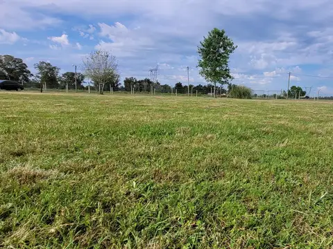 Mariano Acosta al 100