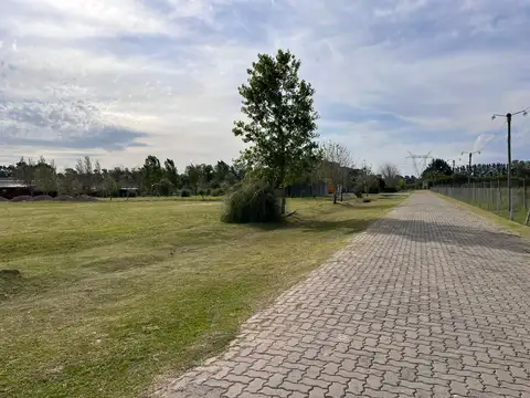 Terreno en Venta 23  mts Frente