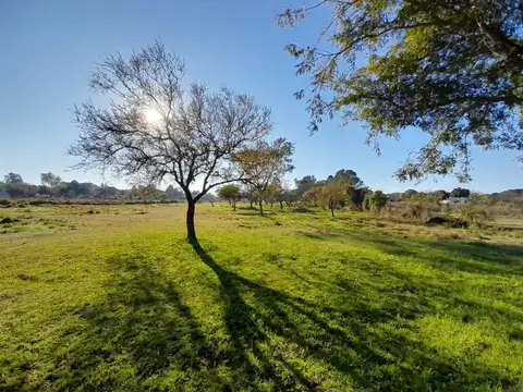 Terreno en Venta, FOT 10