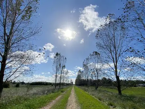 Venta de chacra en barrio estancia las malvinas