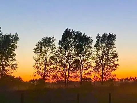 Venta de chacra en barrio estancia las malvinas