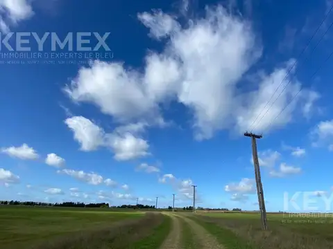 A Del Valle 1350, B1980 Coronel Brandsen, Provincia de Buenos Aires
