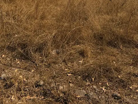Terreno en Venta 45,30  mts Fondo