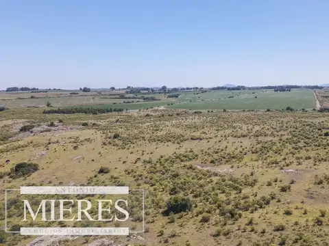 Campo de 23 ha en Ruta 12 Maldonado, Pueblo Edén