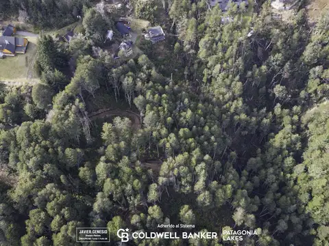 VENTA Lote | Terreno 9.925m2 con vista al lago ideal desarrollo Faldeo del bayo Villa La Angostura