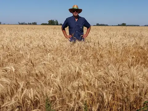 Excelente campo agrícola