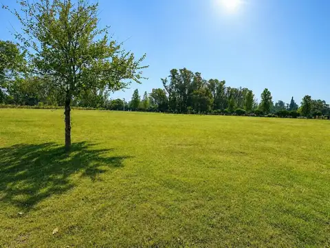 Terreno en Venta 53  mts Frente