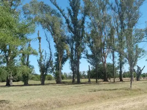 Lote en venta en La Asunción Club de Campo, Luján