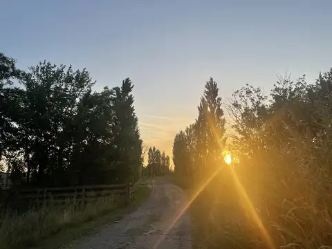 Los Retoños – Campiña (Mercedes – Tomás Jofré – AU RN5 km 91)