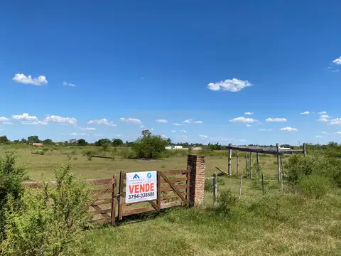 ISIDORA DE GABANCHO 100