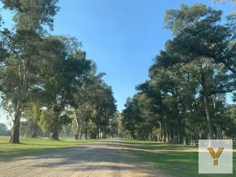 Terreno en Venta de 1500,0 m2