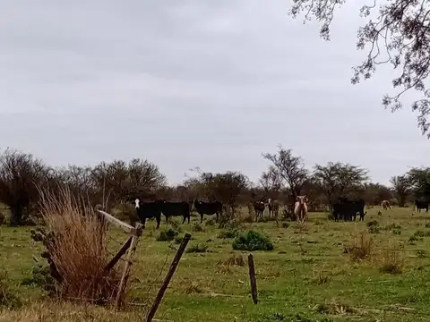 Campo en Providencia