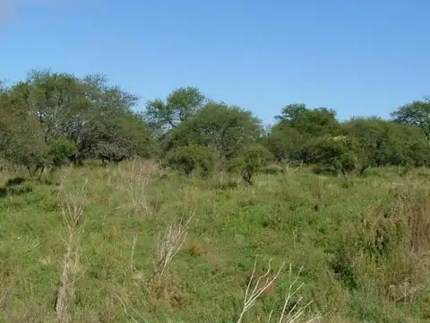 Campo en Providencia