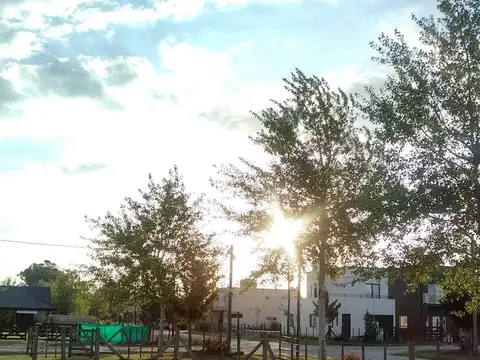 Terreno en Venta en Domselaar, USD 14.500