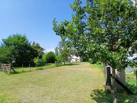 Lote 10 x 41 ubicación única Domselaar Chico VENTA