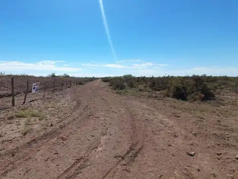 VENTA 100 HAS. TOTALES O PARCIALES LAVALLE MENDOZA