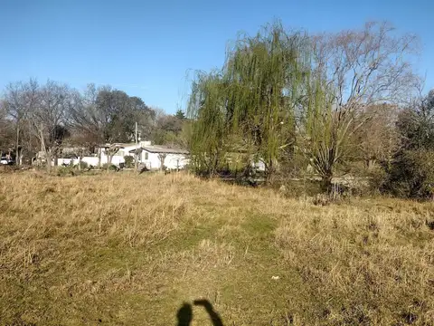 Calle 23 (Los Paraísos)