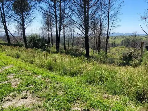 Terreno en Venta de 10875,0 m2