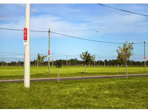 Silvestre Begnis y Avenida de los Granaderos