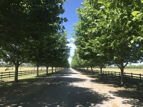 Terreno en Venta en General Rodríguez, USD 100.000