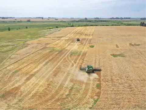 375 Has. Campo productivo con casco y parque en Baradero