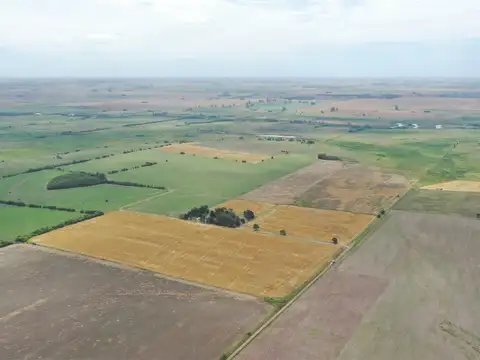 Campo en Venta Mixto