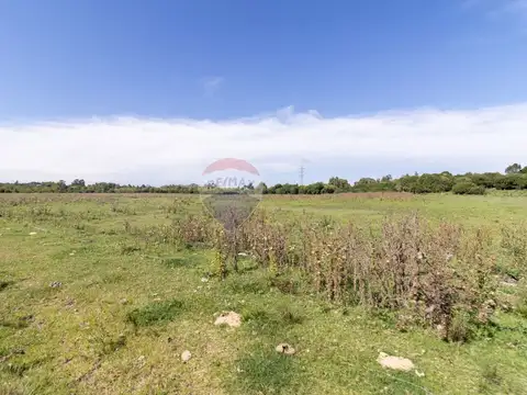 Ruta 49