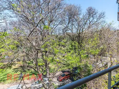 Coronel Apolinario Figueroa 300