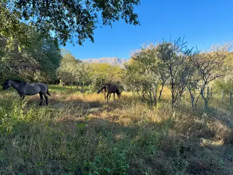 LOTE EN VENTA - LAS CHACRAS