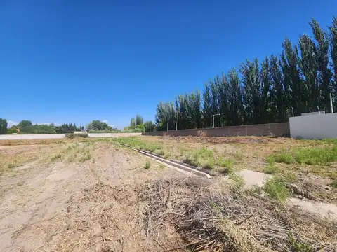Terreno en Venta de 326,0 m2