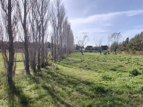 VENTA AMPLIO LOTE 1285m2