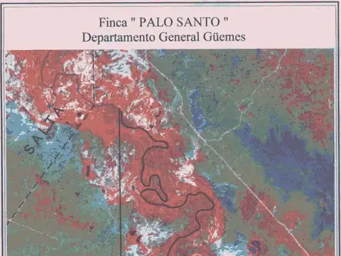 Campo en Venta Forestal